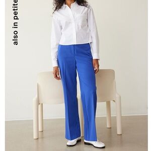 TWO Pairs of Reitmans Dress Pants in Size 18 Petite, for $17 (Blue and Black)